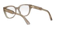 DIOR DIORPRISMEO B1I 5500 52-19 Braun