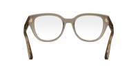 DIOR DIORPRISMEO B1I 5500 52-19 Brown