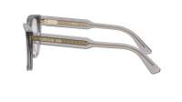 DIOR DIORPRISMEO B1I 4500 52-19 Grigio