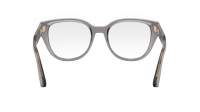 DIOR DIORPRISMEO B1I 4500 52-19 Szary