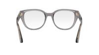 DIOR DIORPRISMEO B1I 4500 52-19 Grey