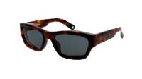 JACQUEMUS Meridiano JAC9C2SUN 57-21 Tartaruga