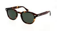 Moscot Lemtosh Sun 49 CLASSIC HAVANA G15 49-24 Large