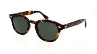 Moscot Lemtosh LEMTOSH SUN 49 CLASSIC HAVANA Żółw