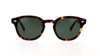 Moscot Lemtosh Sun 49 CLASSIC HAVANA G15 49-24 Large