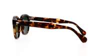 Moscot Lemtosh Sun 49 CLASSIC HAVANA G15 49-24 Large