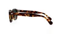 Moscot Lemtosh LEMTOSH SUN 46 CLASSIC HAVANA Écaille