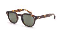 Moscot LEMTOSH SUN 52 TORTOISE G15 Écaille Large