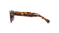 Moscot LEMTOSH SUN 52 TORTOISE G15 Écaille Large