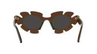 Loewe LW40088U 47A 47-20 Brown