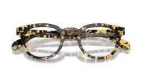 Oliver peoples Sheldrake OV5036 1778 49-22 Tokyo tortoise