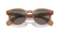 Oliver peoples Cary grant Sun OV5413SU 1783W5 50-22 Carob