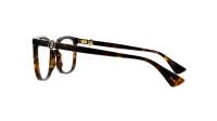 Cartier Contemporary CT0493O 002 55-17 Havana