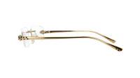 Cartier Panthère de cartier CT0494O 001 55-18 Złoto