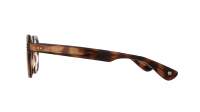 Garrett Leight Og freddy 1120 SPBRNSH 49-22 Spotted Brown Shell