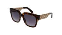 DIOR DIORESILLE S1I 20A1 54-19 Tortoise