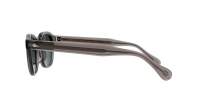 Moscot Lemtosh LEMTOSH SUN 46 GREY G15 Gris