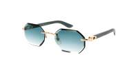 Cartier Exception CT0439S 004 54-19 Or