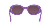 CELINE Triomphe 01 CL40194U 78E 52-22 Violet