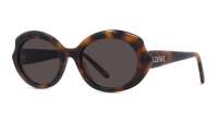 Loewe Slim LW40147I 52E 54-20 Havane Foncé