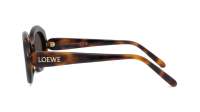 Loewe Slim LW40147I 52E 54-20 Havane Foncé