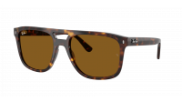 Ray-Ban RB2213 902/33 55-20 Havana