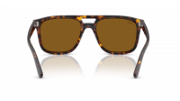 Ray-Ban RB2213 902/33 55-20 Havana