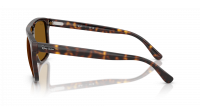 Ray-Ban RB2213 902/33 55-20 Havana