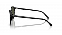 Ray-Ban Bernard RB2230 901/31 53-21 Zwart