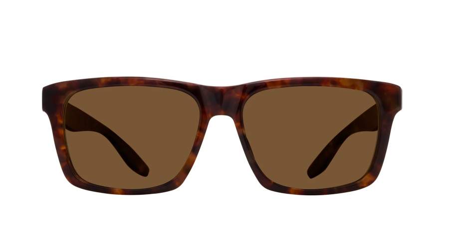 Sunglasses Barton Perreira Walker BP40024I 54H CHE/SEP 57/16 Chestnut in stock