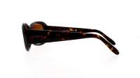 Vogue Eyewear VO2606S W656/13 52-15 Tortoise