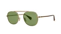 Garrett Leight Van buren ll 4066 G-SAPT/FPGN 49-20 Gold