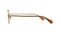 Garrett Leight Van buren ll 4066 G-SAPT/FPGN 49-20 Gold