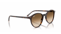 Ray-Ban Bernard RB2230 902/51 51-21 Żółw