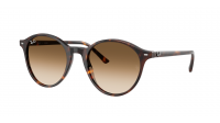 Ray-Ban Bernard RB2230 902/51 51-21 Escama