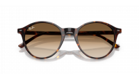 Ray-Ban Bernard RB2230 902/51 51-21 Escama