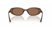 Ray-Ban Bio-Based RB4441D 6779/73 53-21 Opal Brown