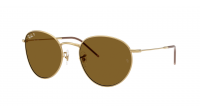 Ray-Ban Round Reverse RBR0103S 001/83 53-21 Arista