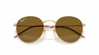 Ray-Ban Round Reverse RBR0103S 001/83 53-21 Arista