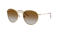 Ray-Ban Round Reverse RBR0103S 001/CB 53-21 Arista