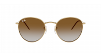 Ray-Ban Round Reverse RBR0103S 001/CB 53-21 Arista