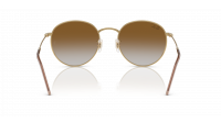 Ray-Ban Round Reverse RBR0103S 001/CB 53-21 Arista