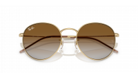 Ray-Ban Round Reverse RBR0103S 001/CB 53-21 Arista