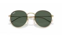 Ray-Ban Round Reverse RBR0103S 001/VR 55-21 Arista