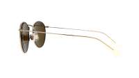 Maui Jim Pukaua H667-16A 50-21 Goud