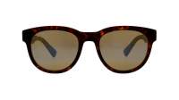 Maui Jim Maoli H668-10 52-19 Matte Dark Havana