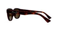 Maui Jim Maoli H668-10 52-19 Matte Dark Havana