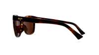 Maui Jim Kiopaa H671-10 54-19 Havana