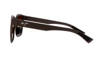 Maui Jim Paulele H660-01 57-19 Matte Brown