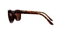 Maui Jim Honi H758-10 54-18 Shiny Dark Havana